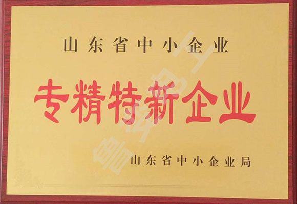 山東省專精特新證書